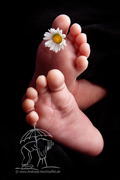 Baby-Fotografie