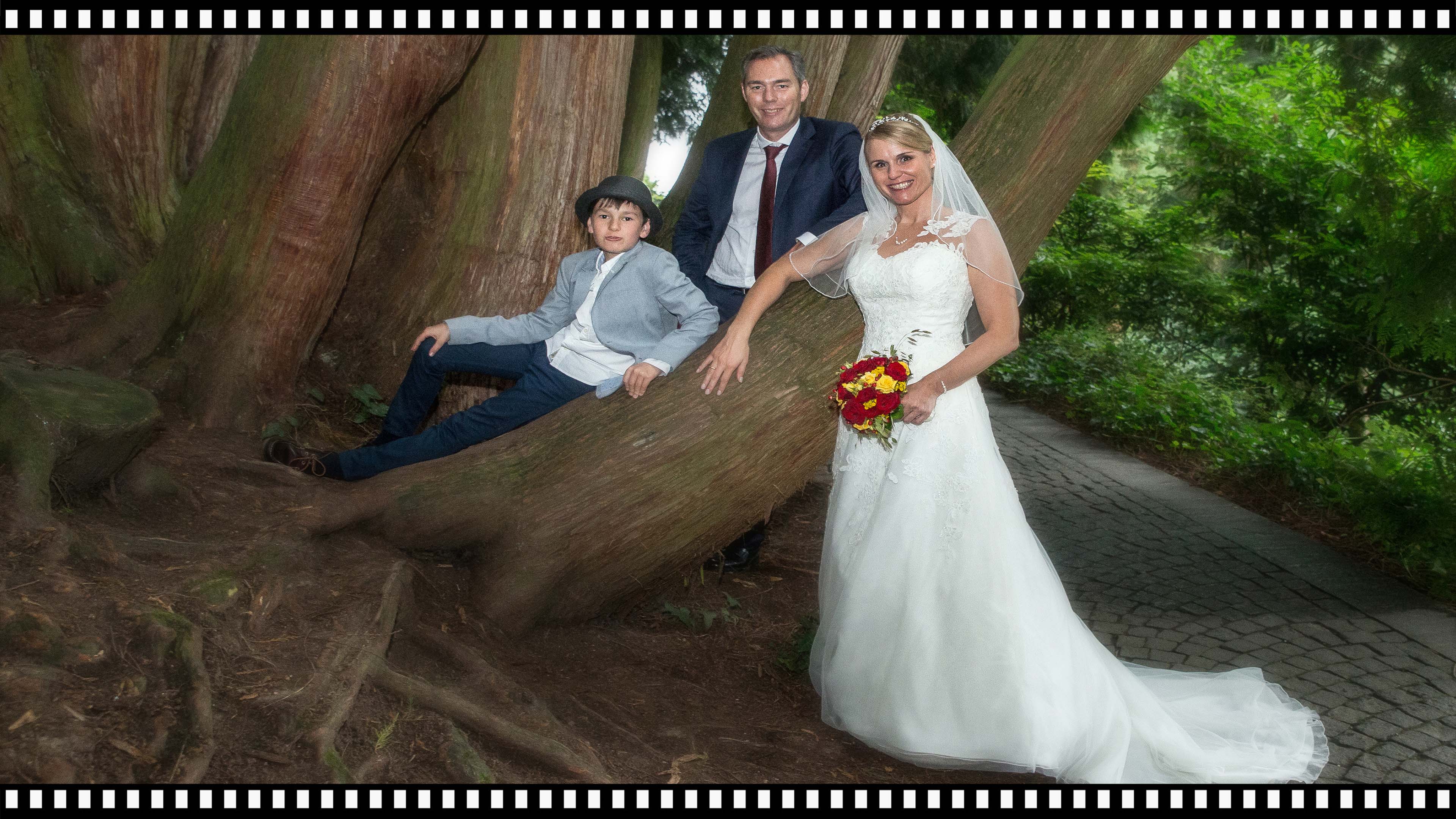Hochzeitsfotos - -Fotografie