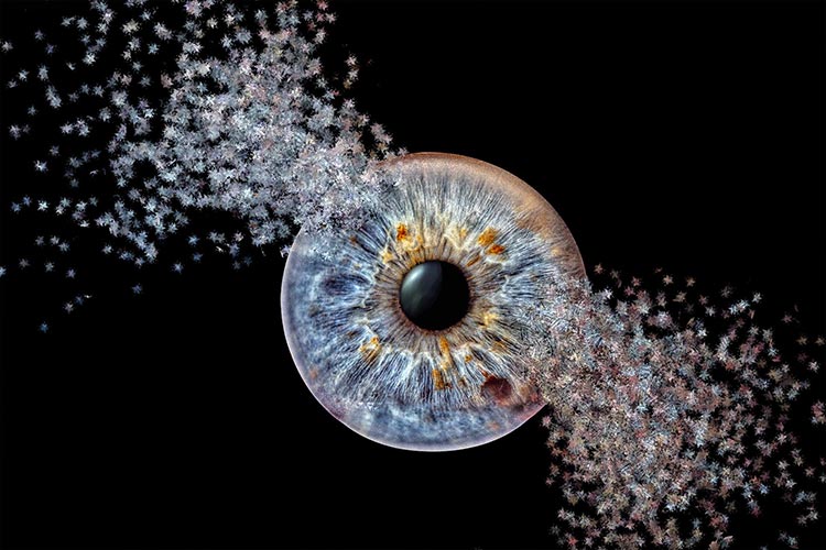 Iris-Fotografie
