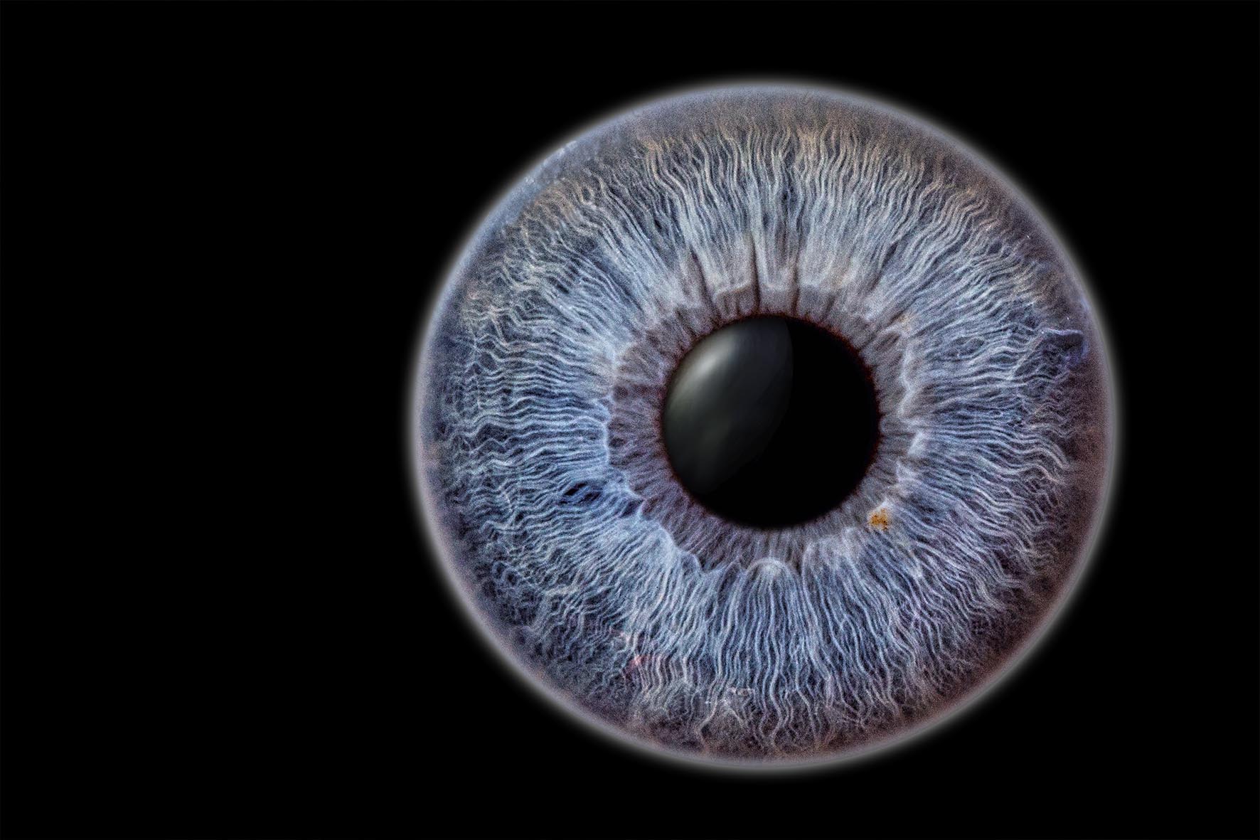 Iris--Fotografie