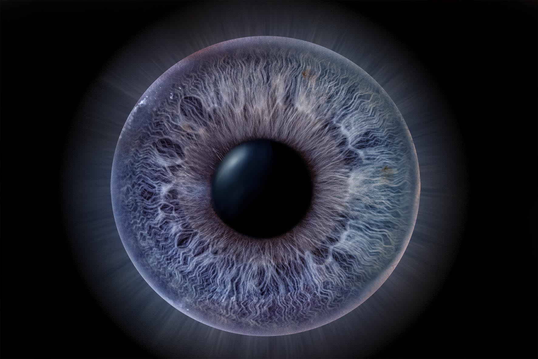 Iris--Fotografie